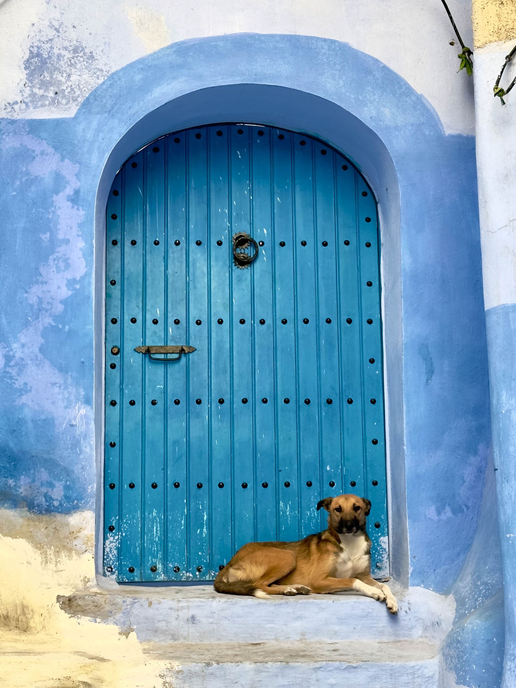 Moroccan Door #11